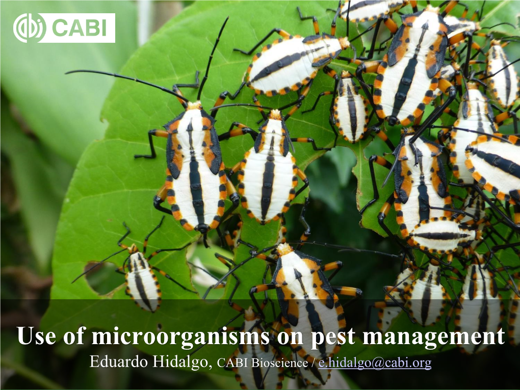 Use of Microorganisms on Pest Management Eduardo Hidalgo, CABI Bioscience / E.Hidalgo@Cabi.Org Alternatives and Strategies