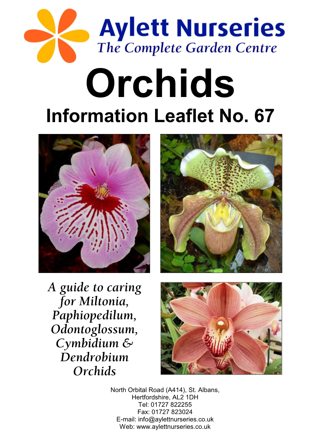 Orchids Information Leaflet No