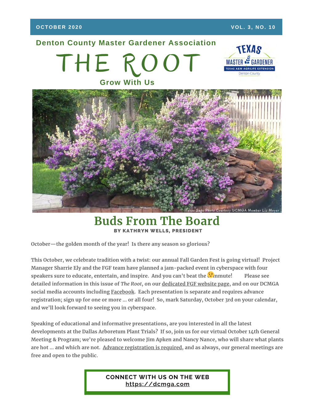 The Root October 2020 Newsletter, DCMGA's Monthly Newsletter