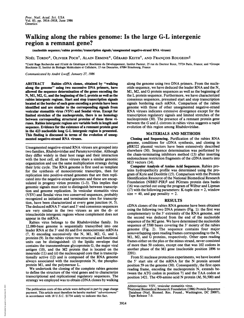 Walking Along the Rabies Genome: Is the Large G-L Intergenic Region A