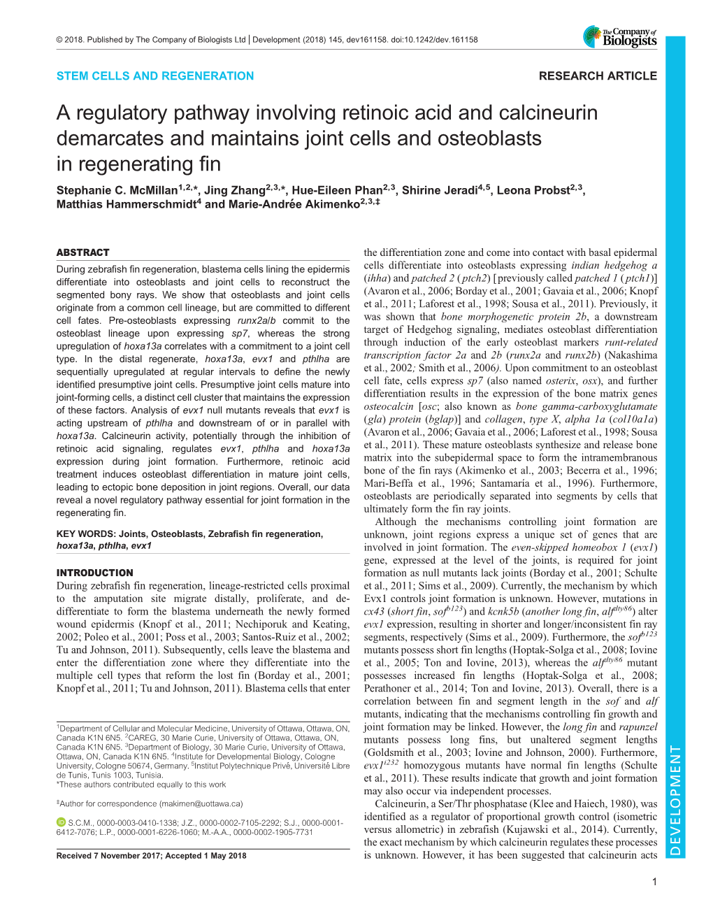 A Regulatory Pathway Involving Retinoic Acid and Calcineurin Demarcates and Maintains Joint Cells and Osteoblasts in Regenerating Fin Stephanie C