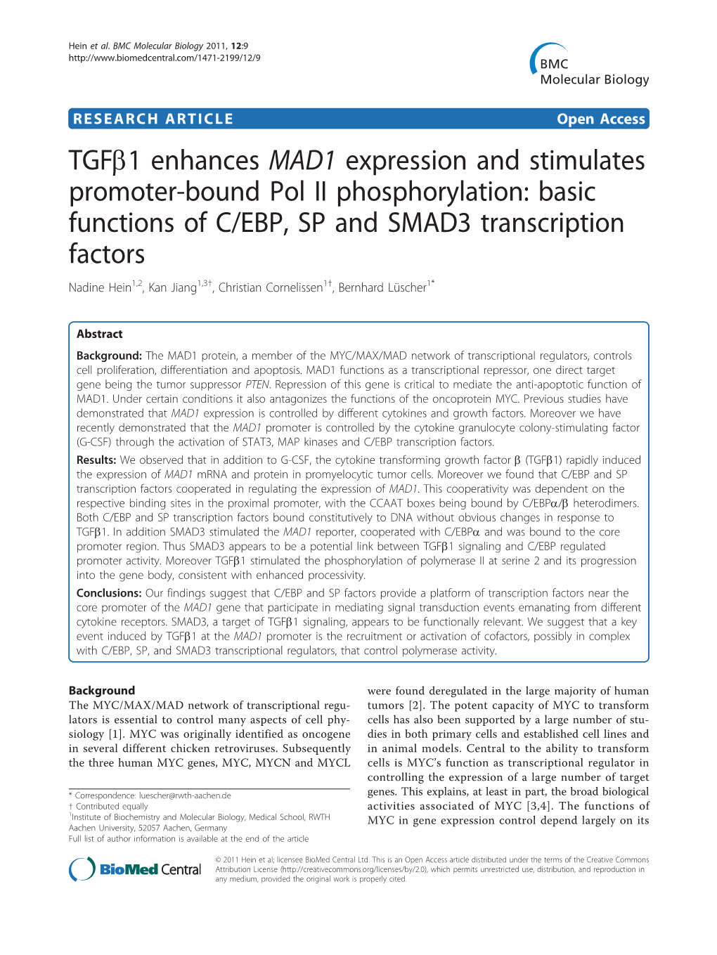 Tgfb1 Enhances MAD1 Expression and Stimulates Promoter-Bound Pol