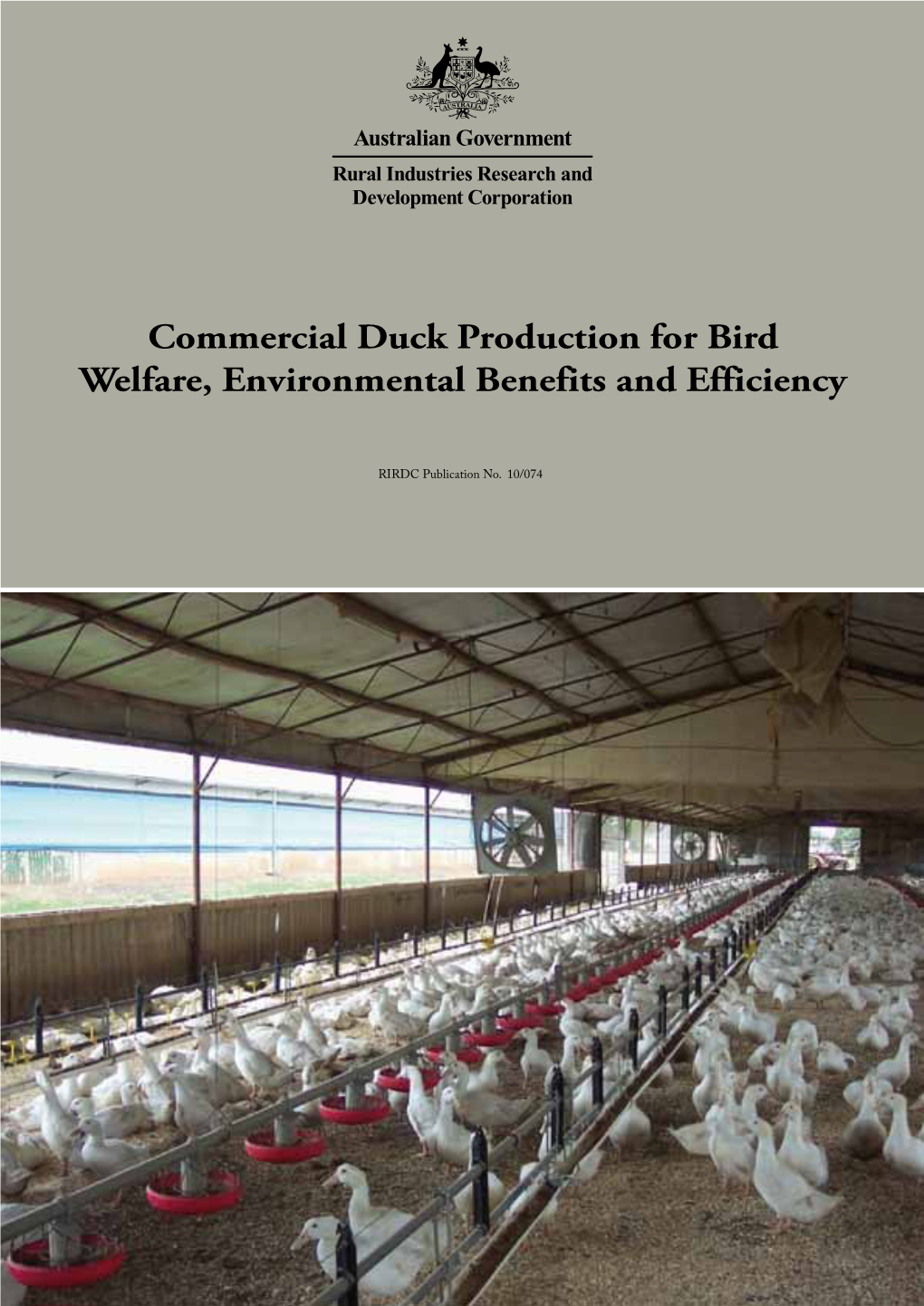 Commercial Duck Production for Bird Welfare, Environmental Benefits and Efficiency