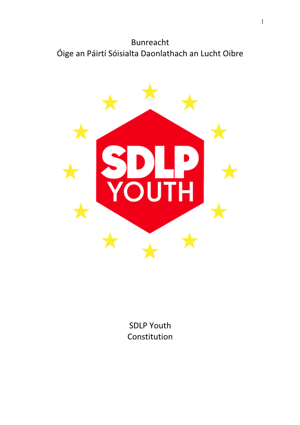 SDLP Youth Constitution
