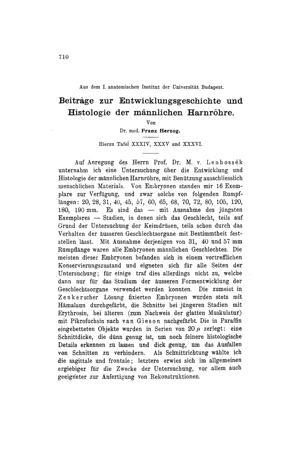 Ge Zur Entwicklungsgeschichte Und Histologie Der M Innlichen Harnr6hre