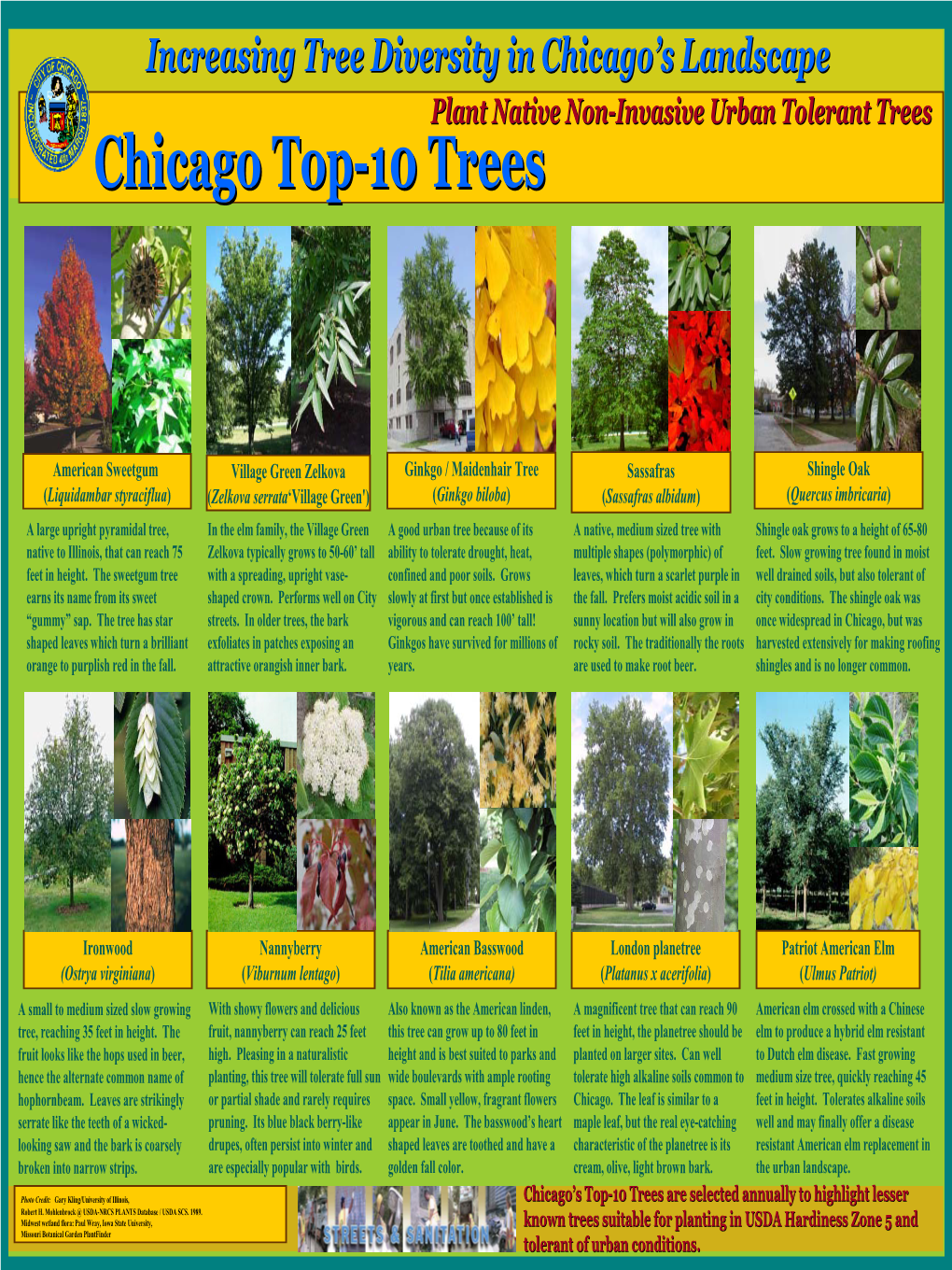 Top 10 Trees Brochure