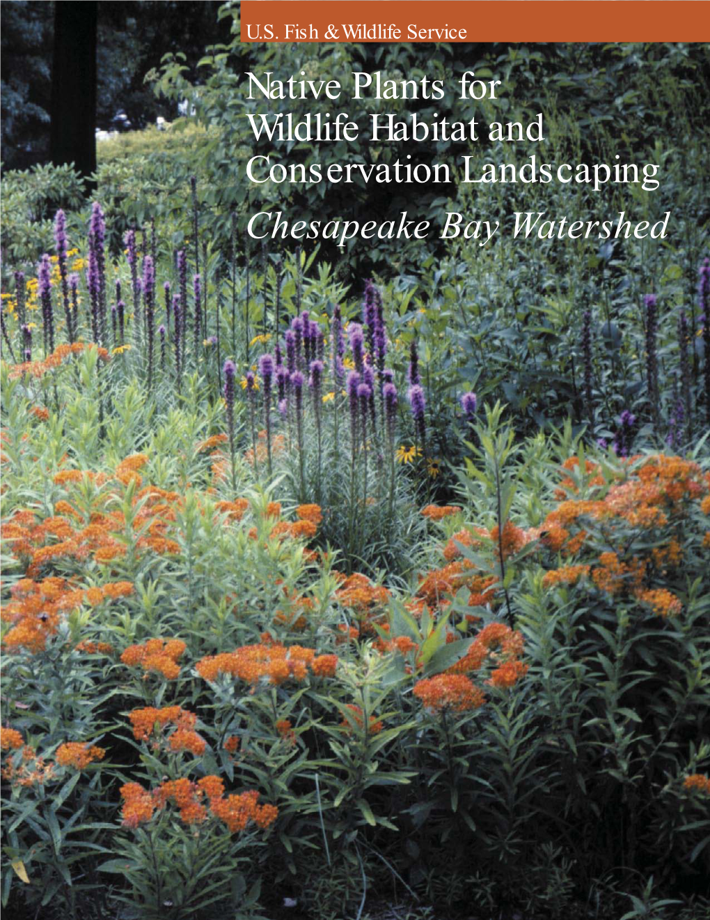 Native Plants for Wildlife Habitat and Conservation Landscaping Chesapeake Bay Watershed Acknowledgments