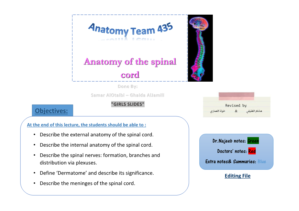 Anatomy of the Spinal Cord