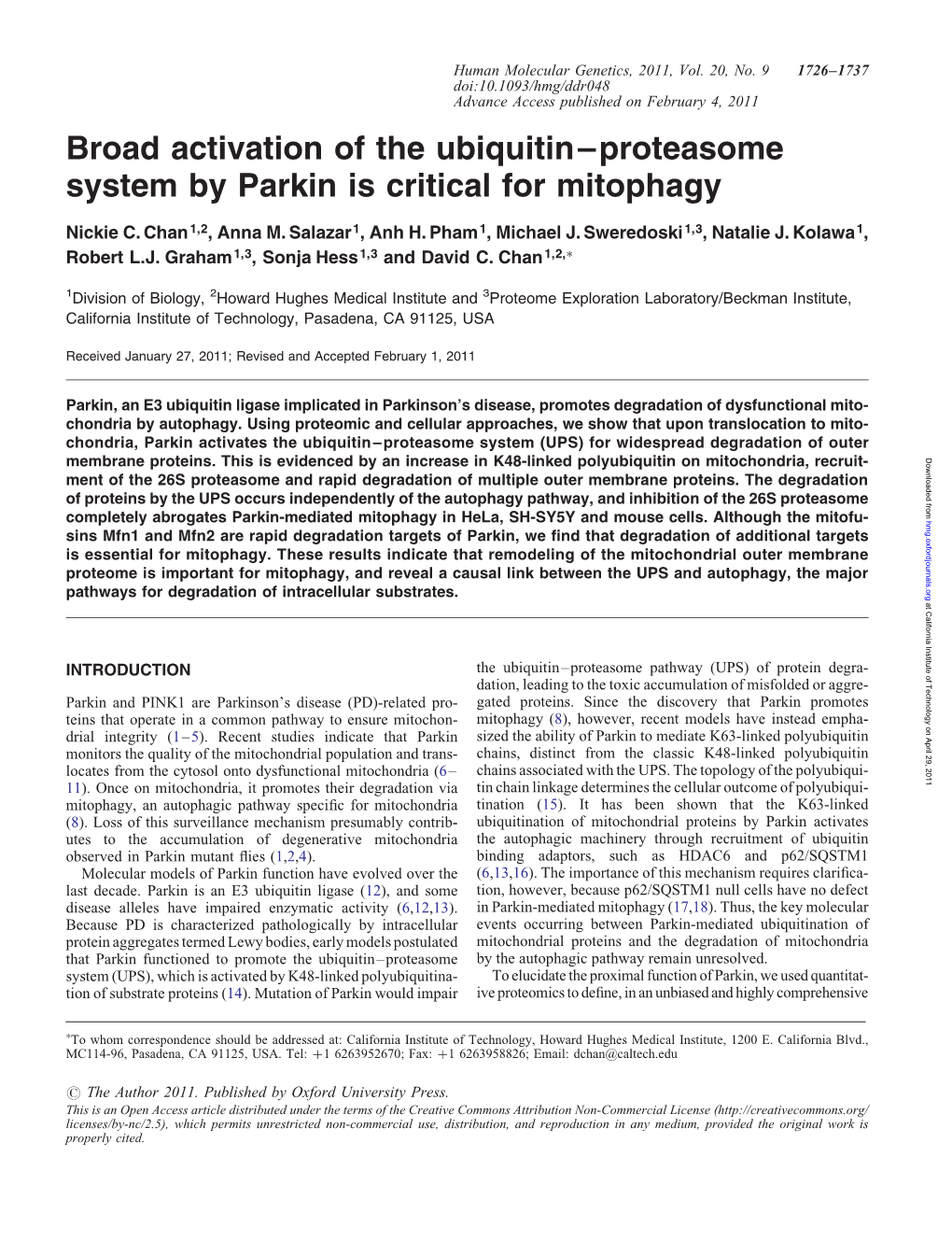 Broad Activation of the Ubiquitin–Proteasome System by Parkin Is Critical for Mitophagy