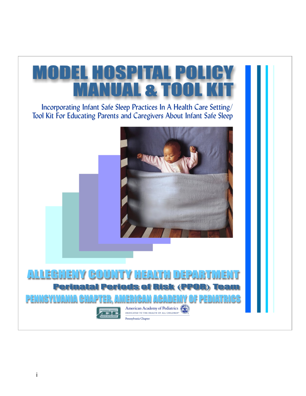 Model Hospital Policy Manual and Tool
