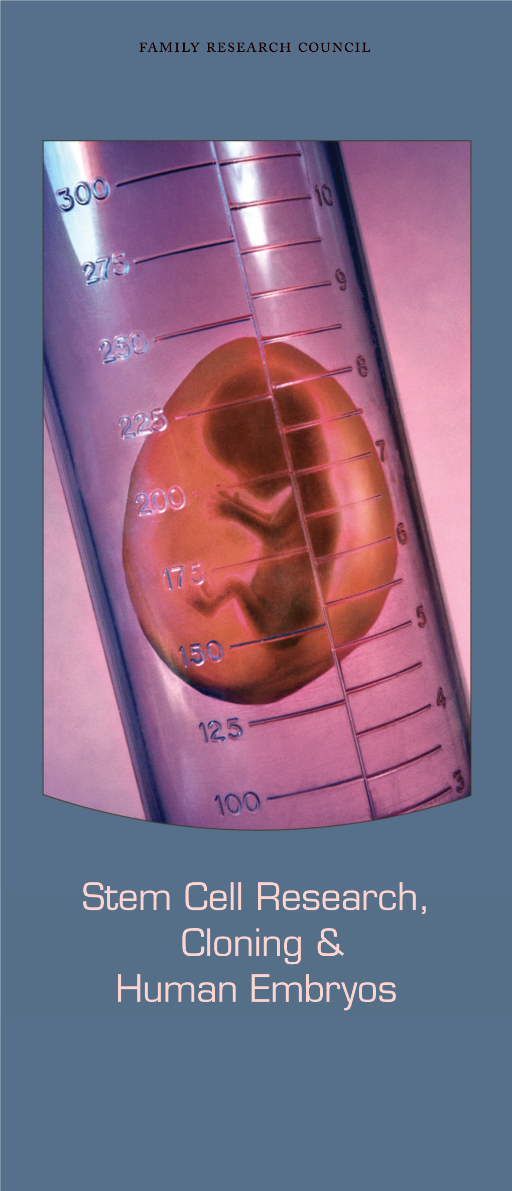 Stem Cell Research, Cloning & Human Embryos