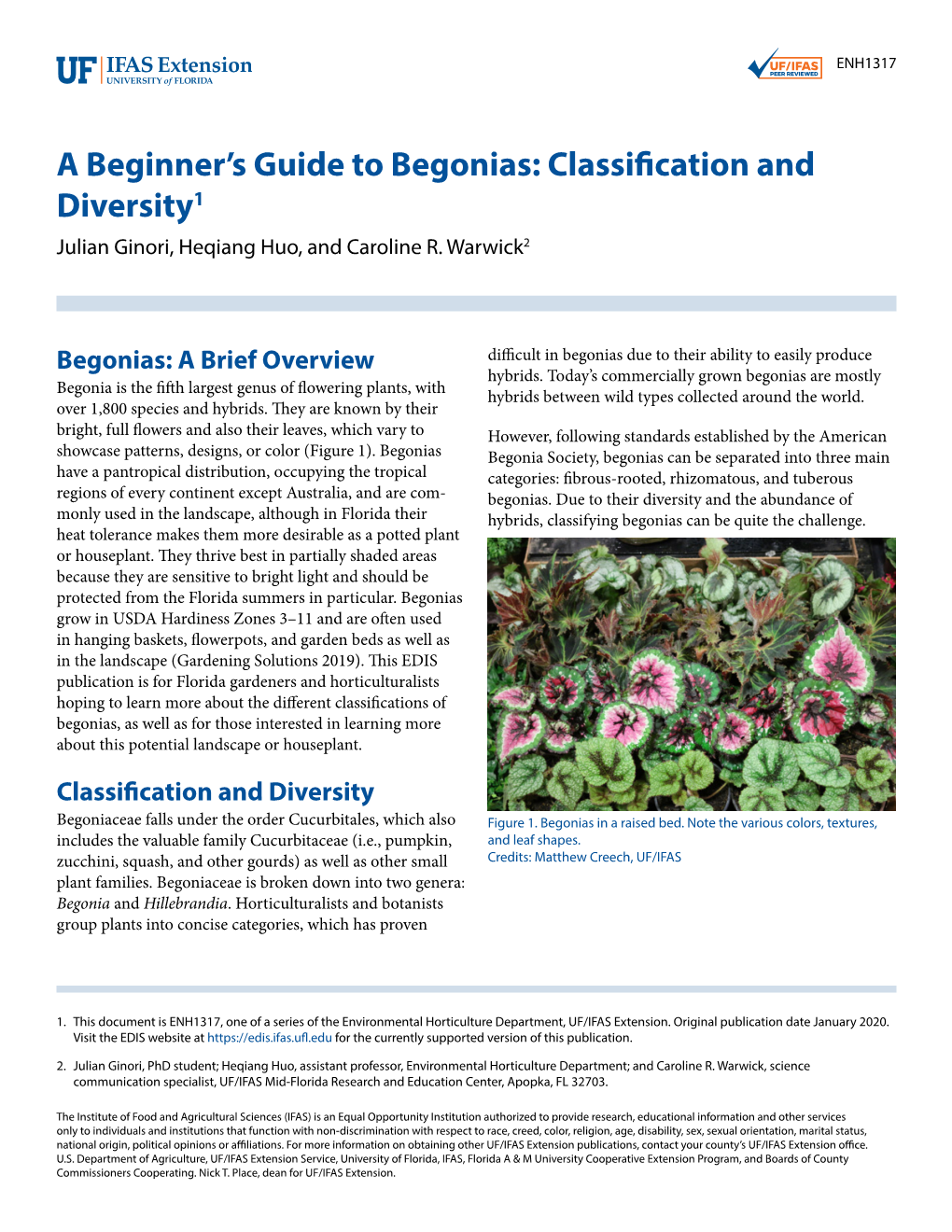 Begonias: Classification and Diversity1 Julian Ginori, Heqiang Huo, and Caroline R