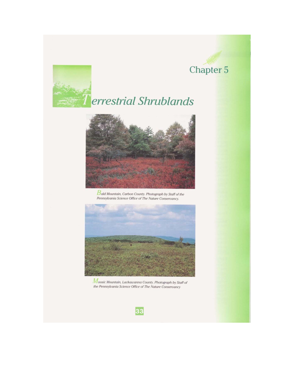 Terrestrial Shrublands