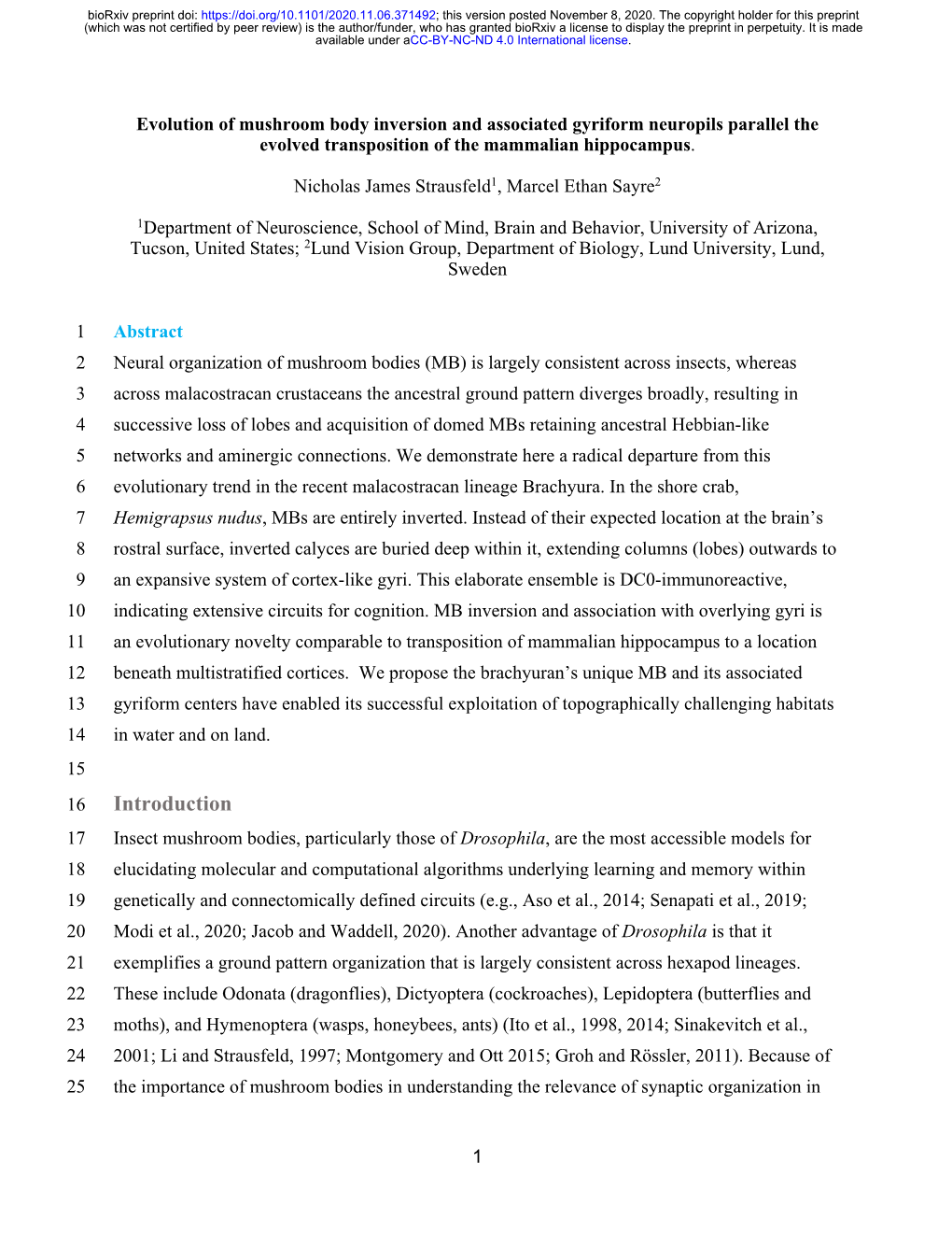 Evolution of Mushroom Body Inversion and Associated Gyriform Neuropils Parallel the Evolved Transposition of the Mammalian Hippocampus