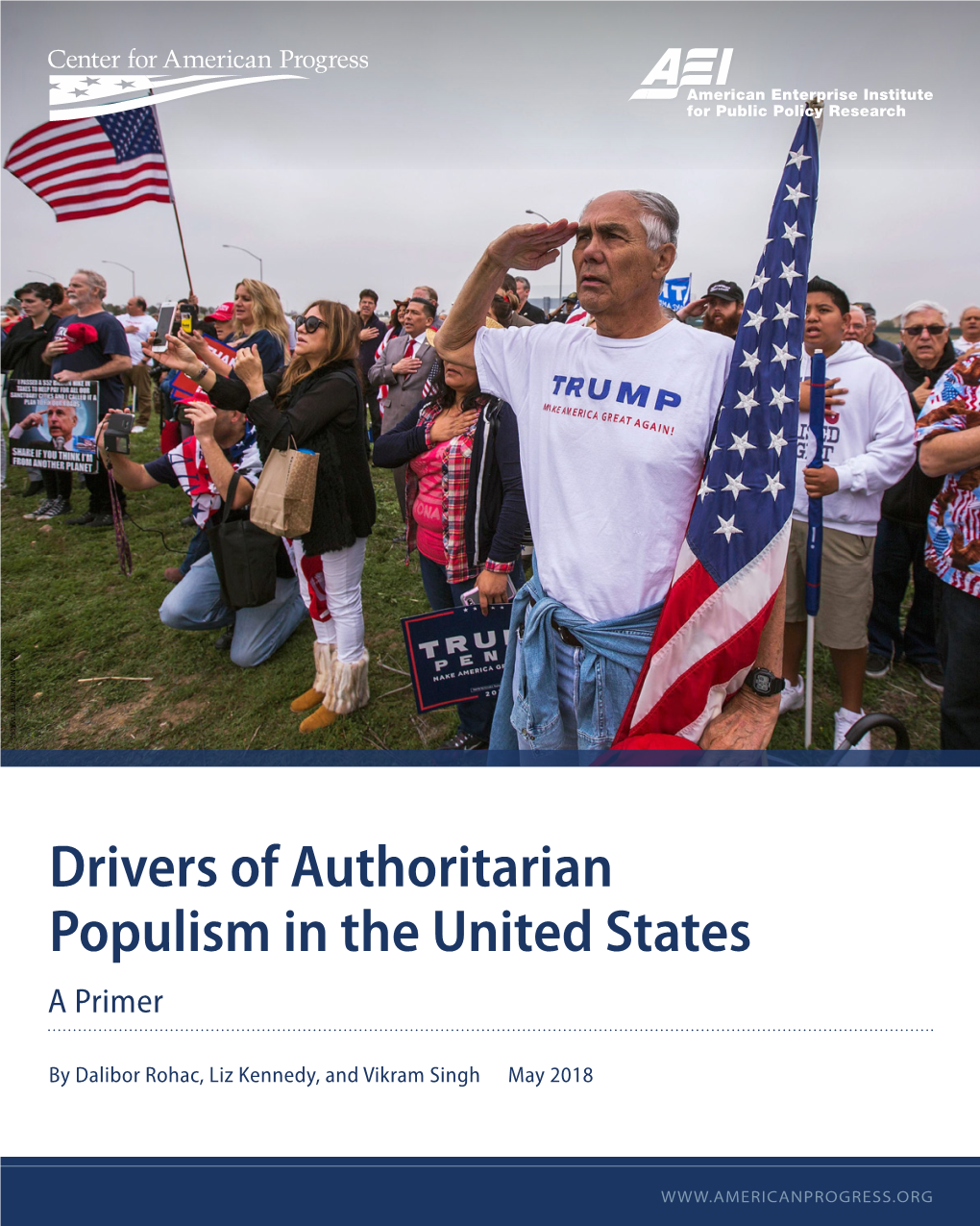 Drivers of Authoritarian Populism in the United States a Primer