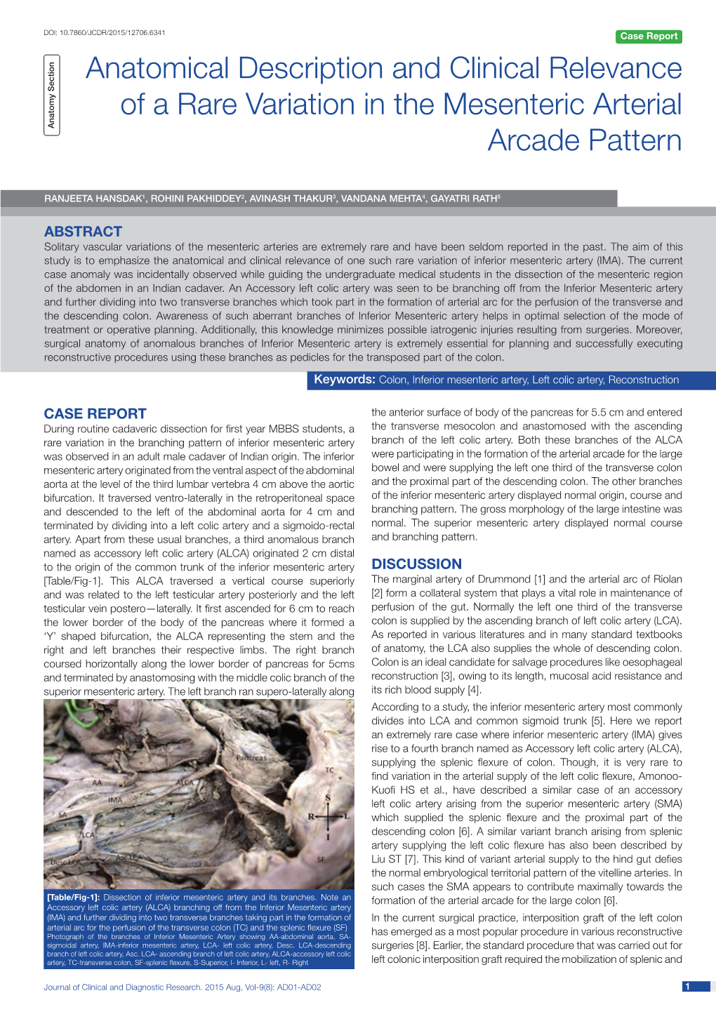 Anatomical Description and Clinical Relevance of a Rare Variation in the Mesenteric Arterial Anatomy Section Arcade Pattern