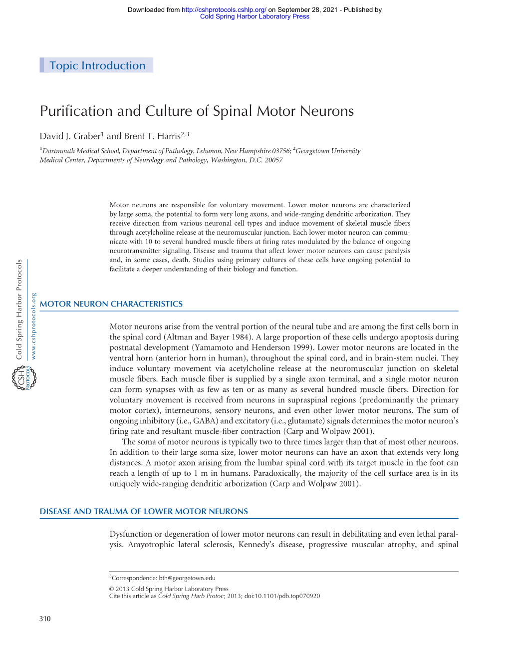 Purification and Culture of Spinal Motor Neurons