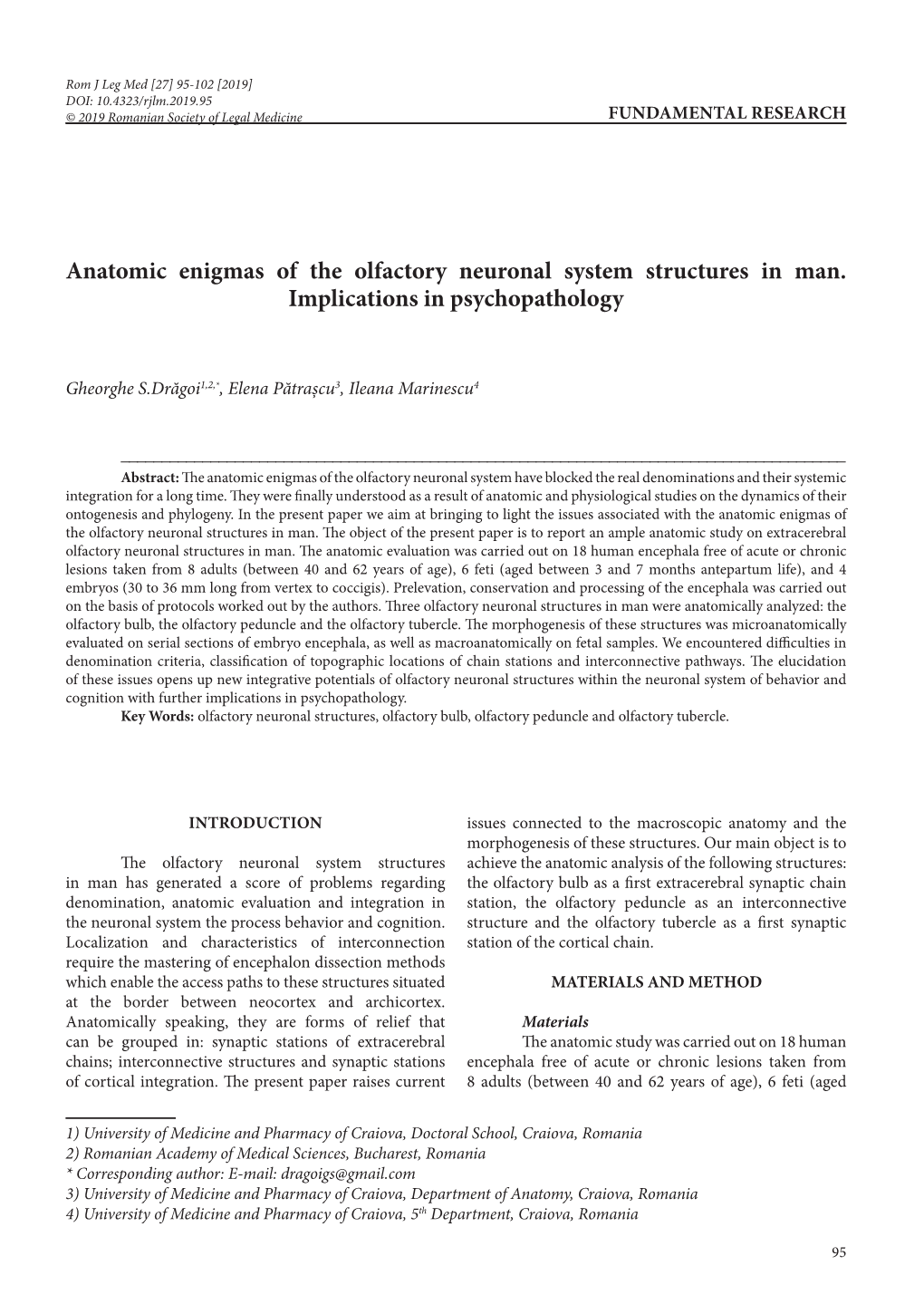 Anatomic Enigmas of the Olfactory Neuronal System Structures in Man