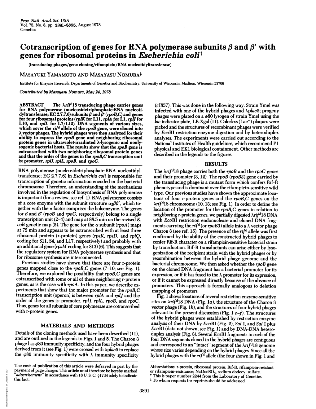 Cotranscription of Genes for RNA Polymerase Subunits ,3 and I' With