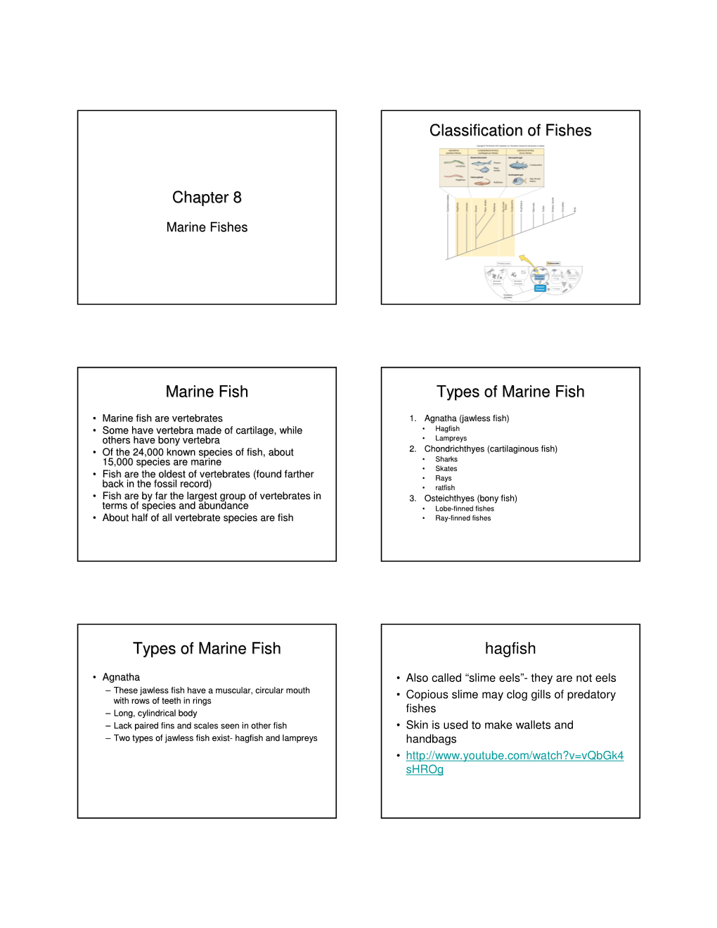 Classification of Fishes Marine Fish