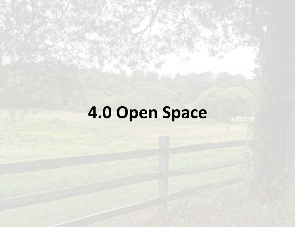 4.0 Open Space