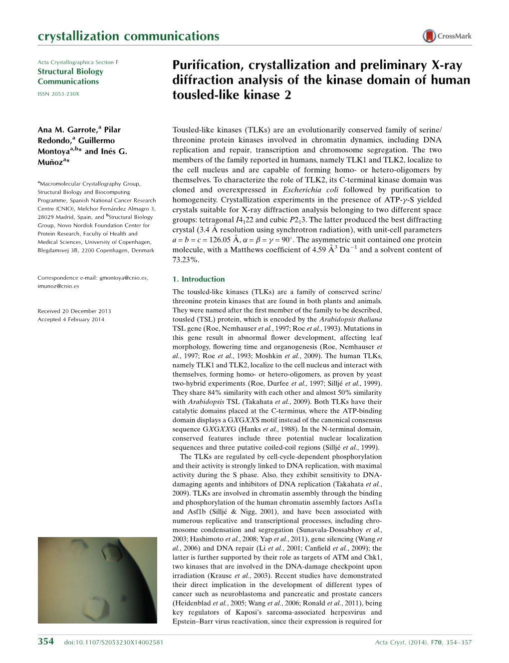 Purification, Crystallization and Preliminary X-Ray Diffraction