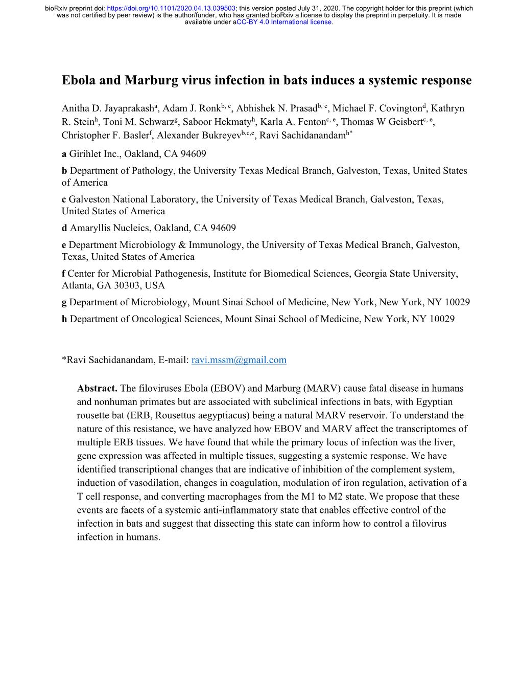 Ebola and Marburg Virus Infection in Bats Induces a Systemic Response