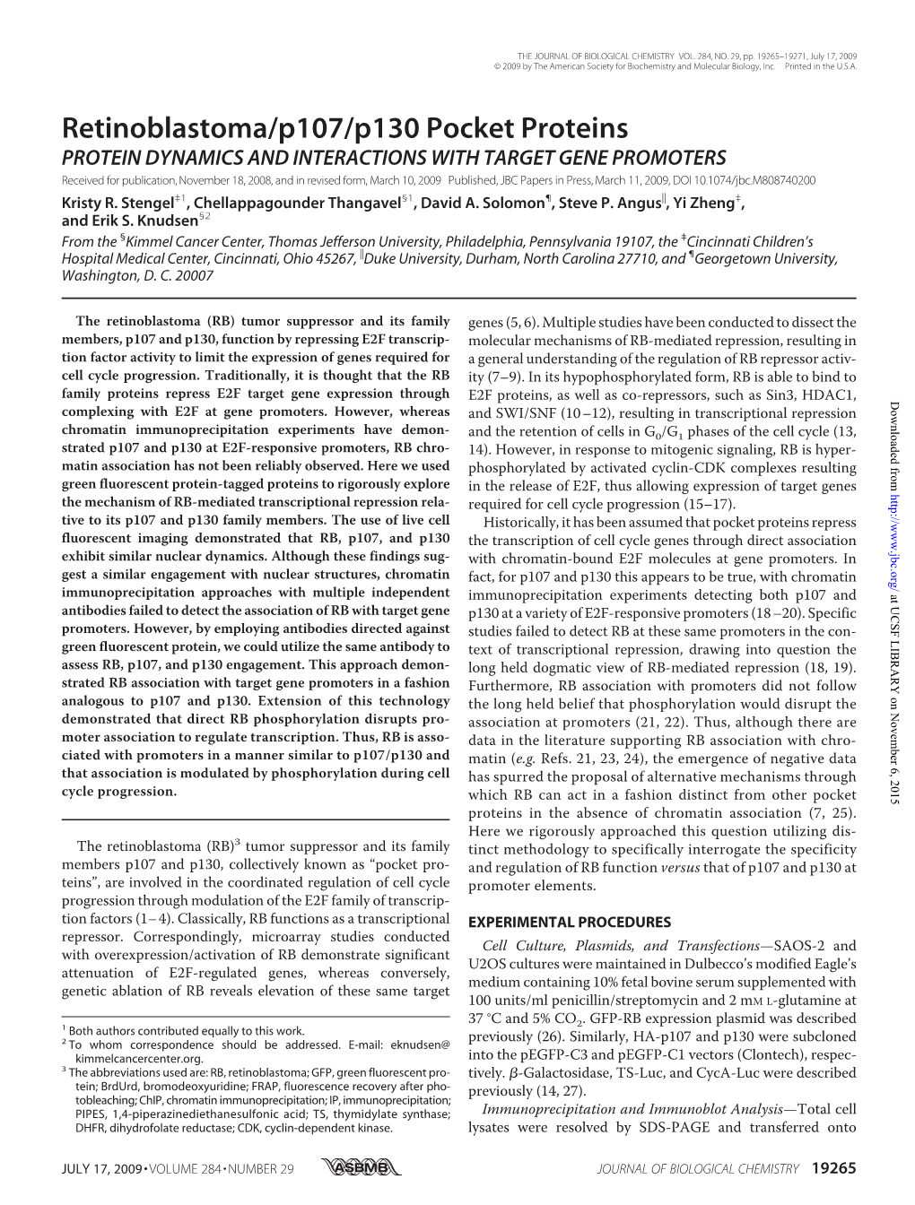 Retinoblastoma/P107/P130 Pocket Proteins
