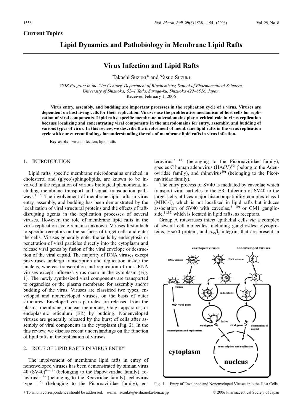 Virus Infection and Lipid Rafts