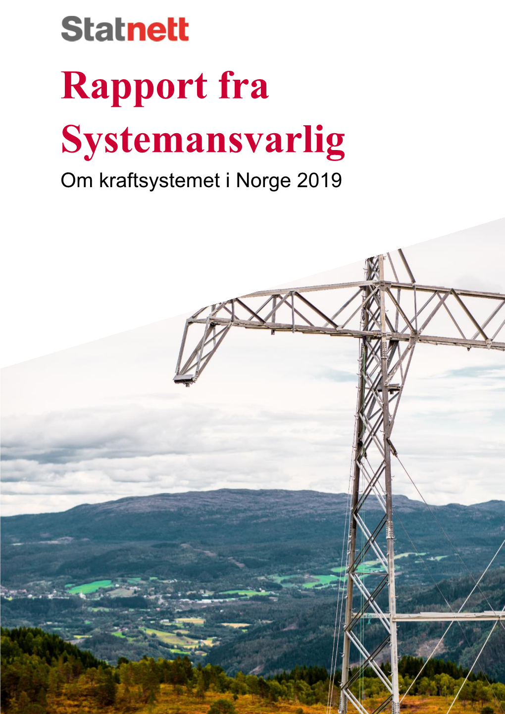 Rapport Fra Systemansvarlig 2019 Dok