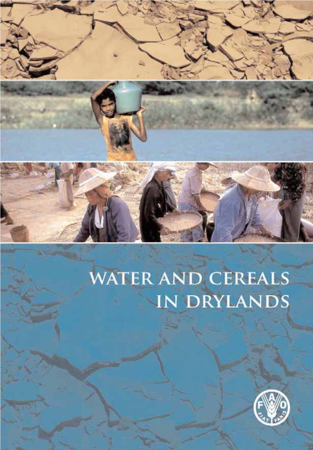 Water and Cereals in Drylands