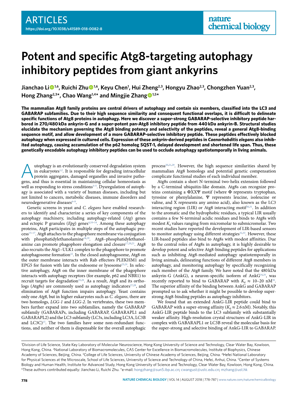 Potent and Specific Atg8-Targeting Autophagy Inhibitory Peptides from Giant Ankyrins