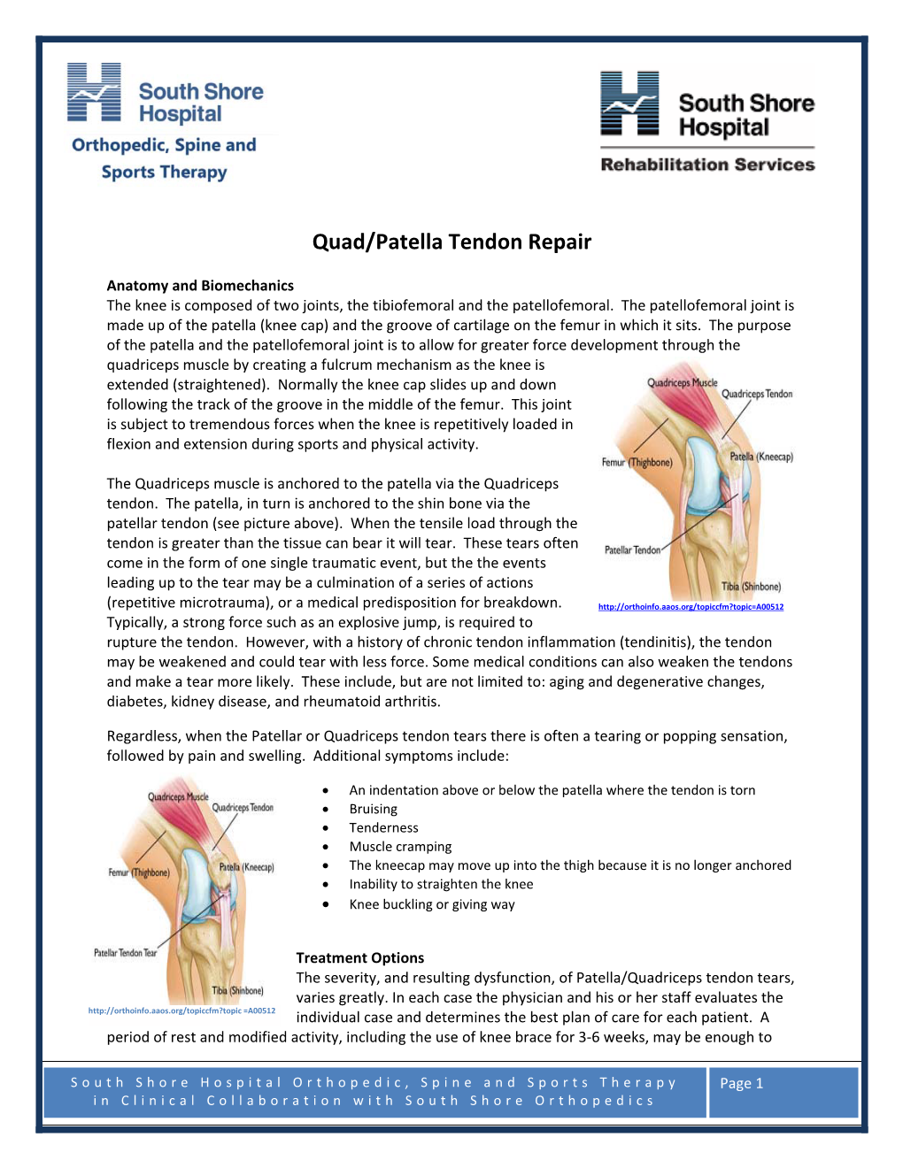 Quad/Patella Tendon Repair