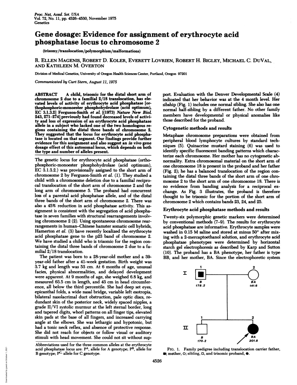 Gene Dosage: Evidence for Assignment of Erythrocyte Acid Phosphatase Locus to Chromosome 2 (Trisomy/Translocation/Polymorphism/Malformations) R