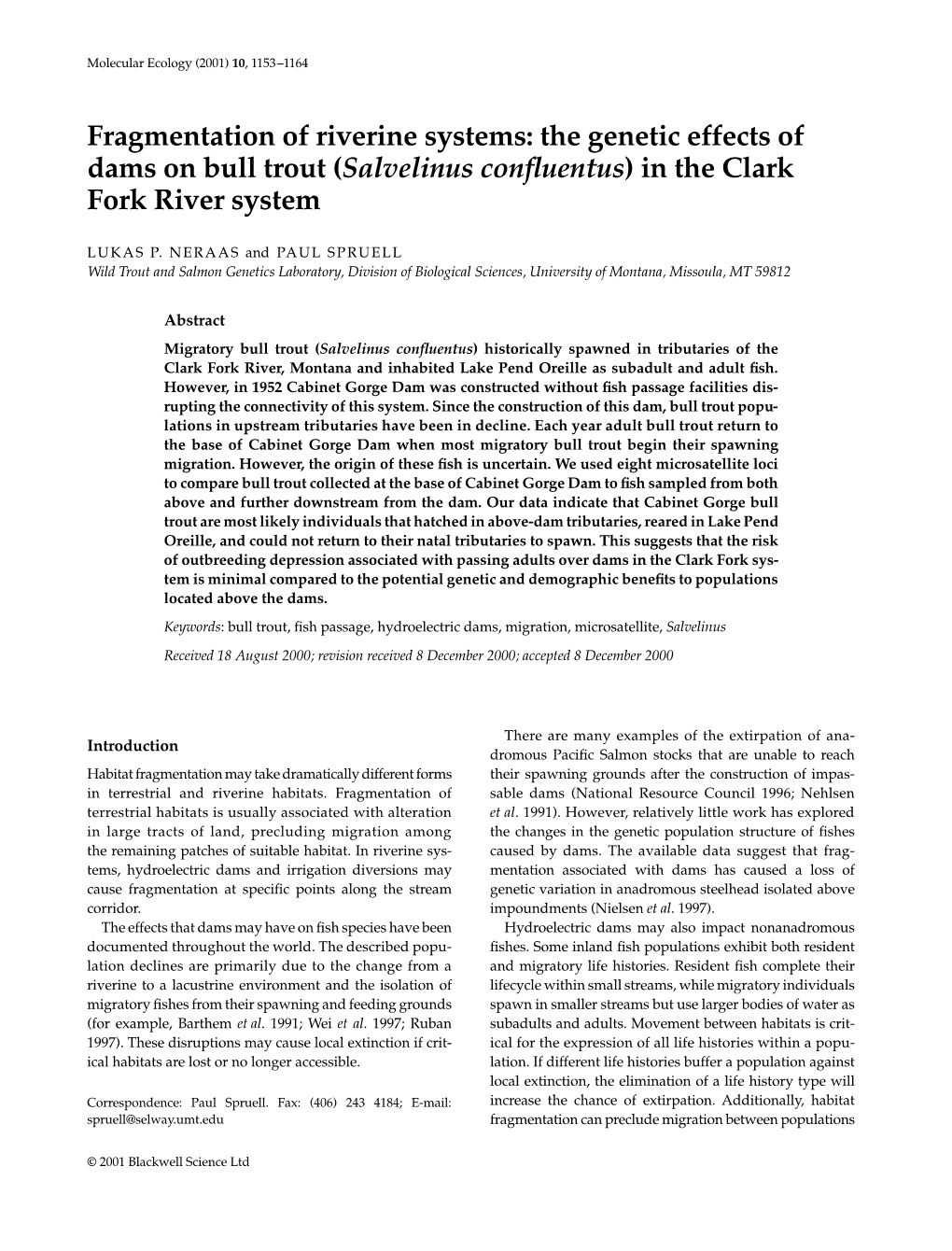 The Genetic Effects of Dams on Bull Trout (Salvelinus Confluentus)