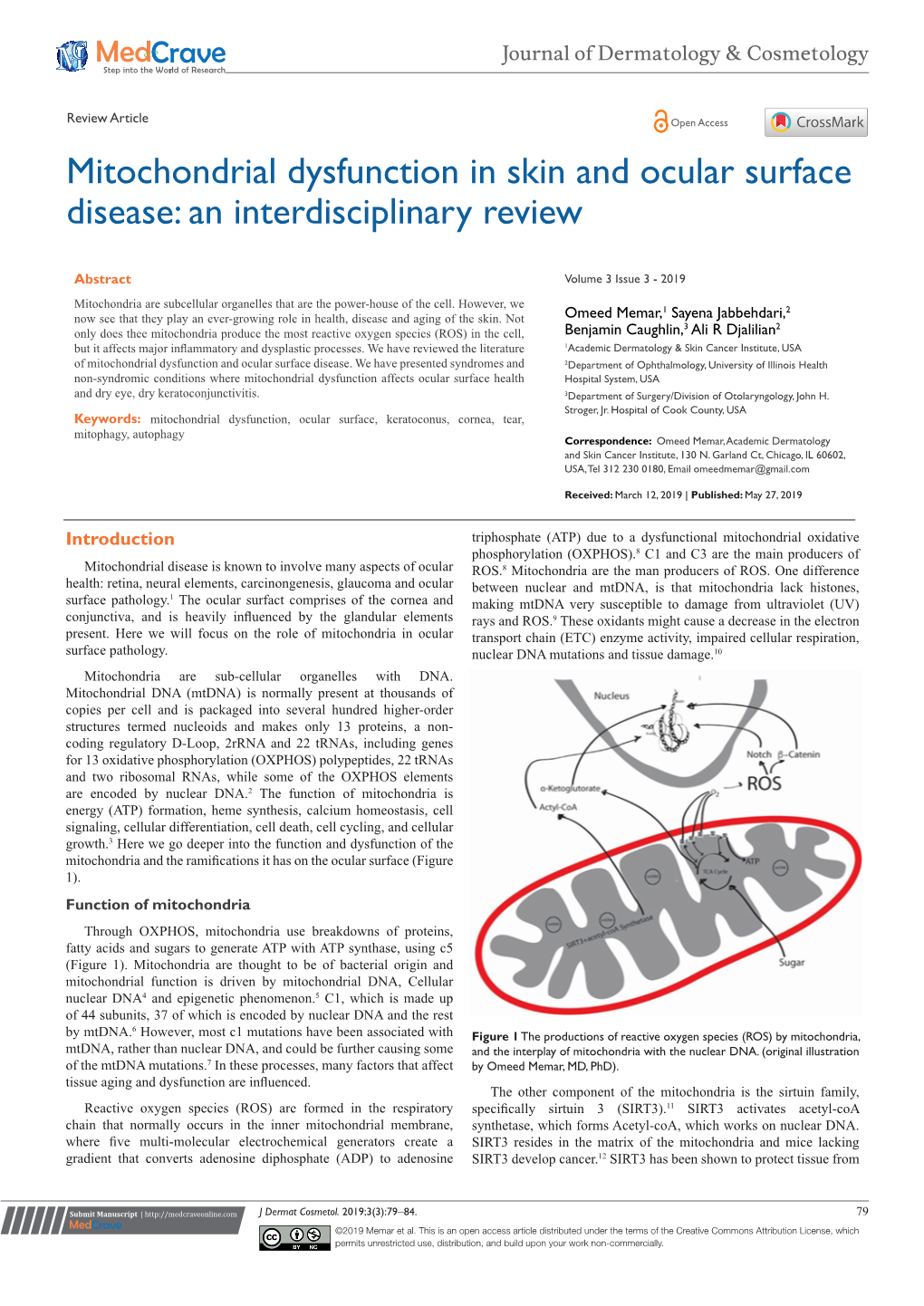 Mitochondrial Dysfunction in Skin and Ocular Surface Disease: an Interdisciplinary Review