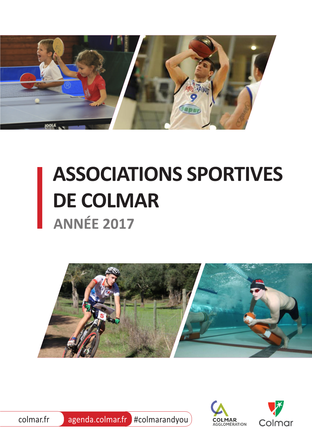 Associations Sportives De Colmar Année 2017