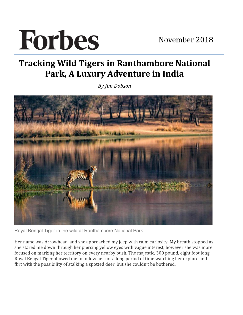 Tracking Wild Tigers in Ranthambore National Park, a Luxury Adventure in India