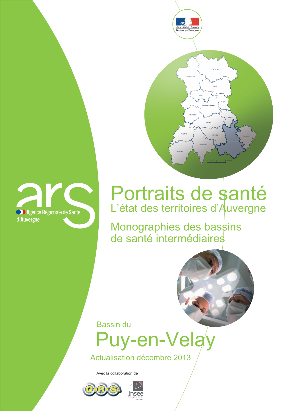 Portraits De Santé : L'état Des Territoires En Auvergne. BSI Le Puy 2013