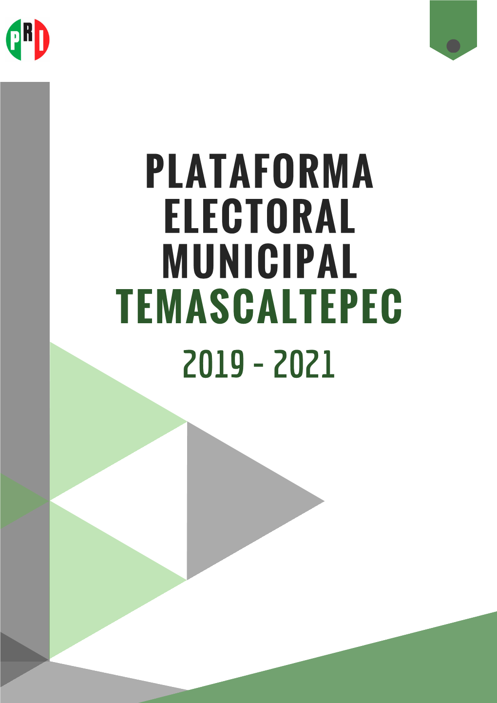 2021 Plataforma Electoral Municipal Temascaltepec