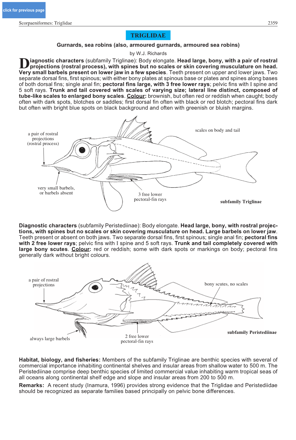 Triglidae 2359