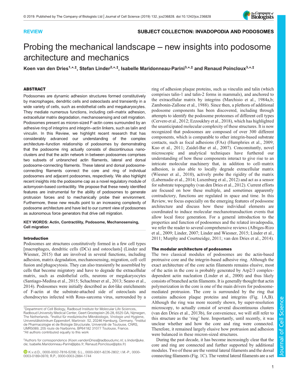 New Insights Into Podosome Architecture and Mechanics Koen Van Den Dries1,*,‡, Stefan Linder2,*,‡, Isabelle Maridonneau-Parini3,*,‡ and Renaud Poincloux3,*,‡