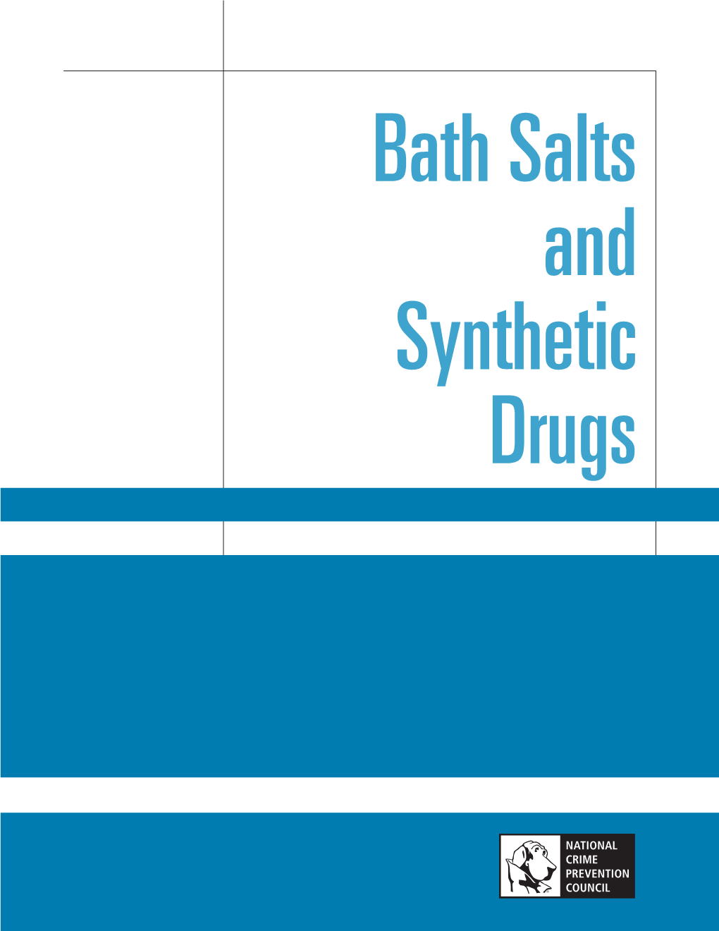 Bath Salts and Synthetic Drugs Fact Sheet