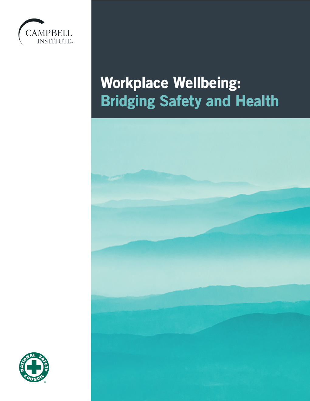 Workplace Wellbeing: Bridging Safety and Health