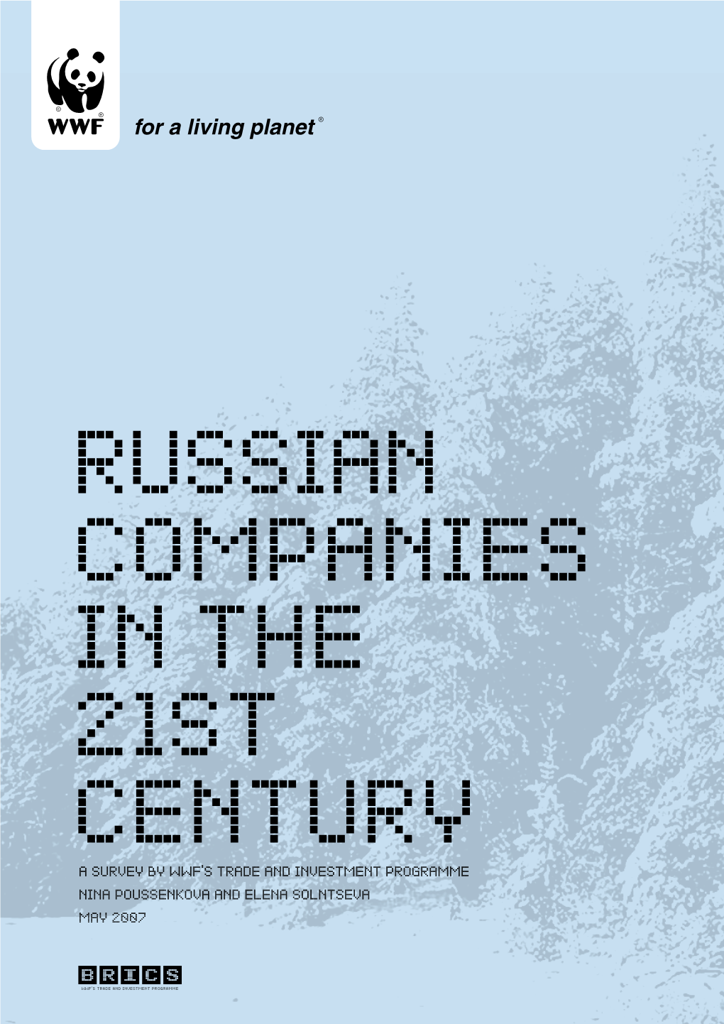 Russian Companies in the 21St Century