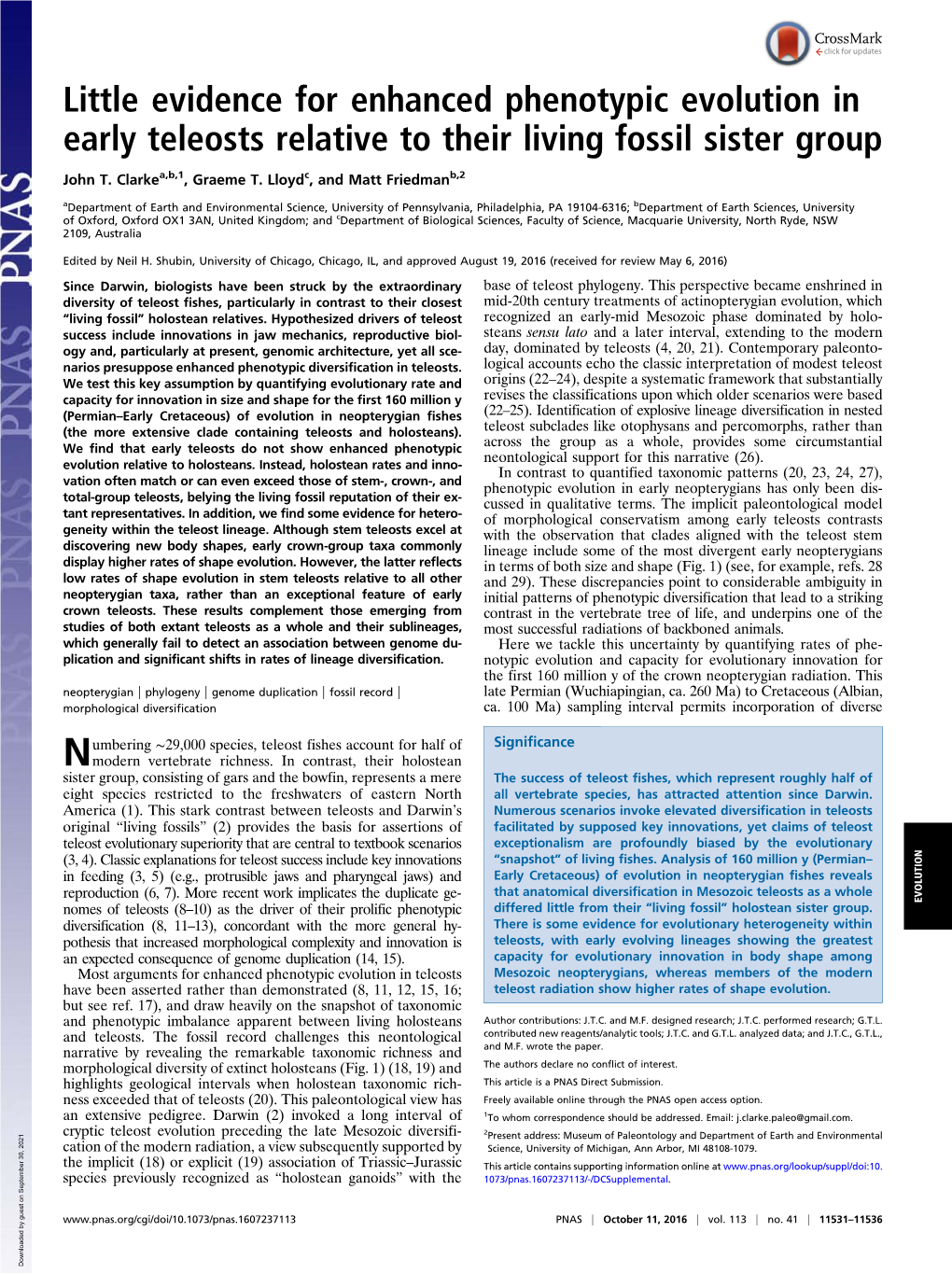 Little Evidence for Enhanced Phenotypic Evolution in Early Teleosts Relative to Their Living Fossil Sister Group