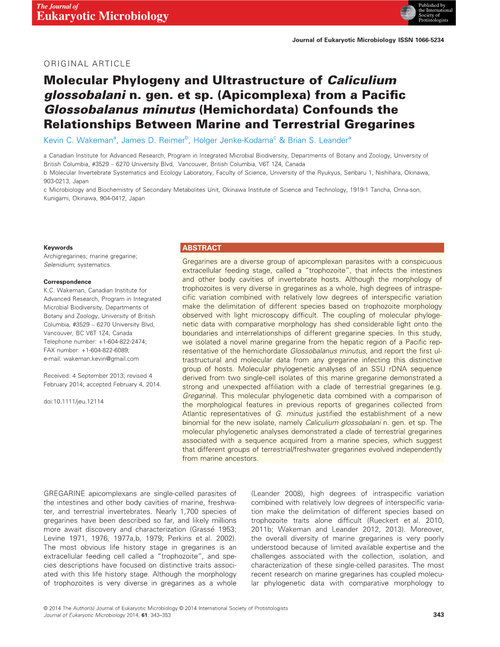 Molecular Phylogeny and Ultrastructure of Caliculium Glossobalani N