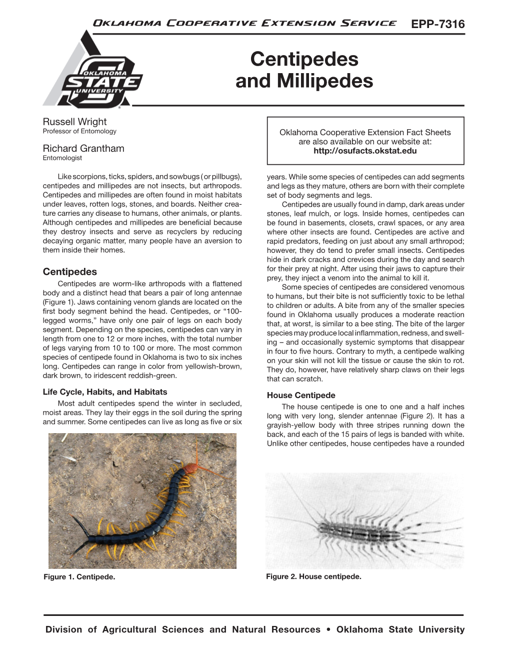 Centipedes and Millipedes