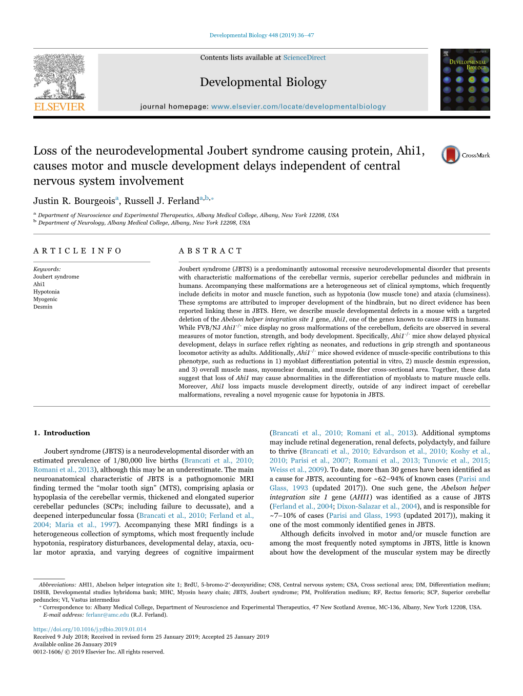 Loss of the Neurodevelopmental Joubert Syndrome Causing Protein