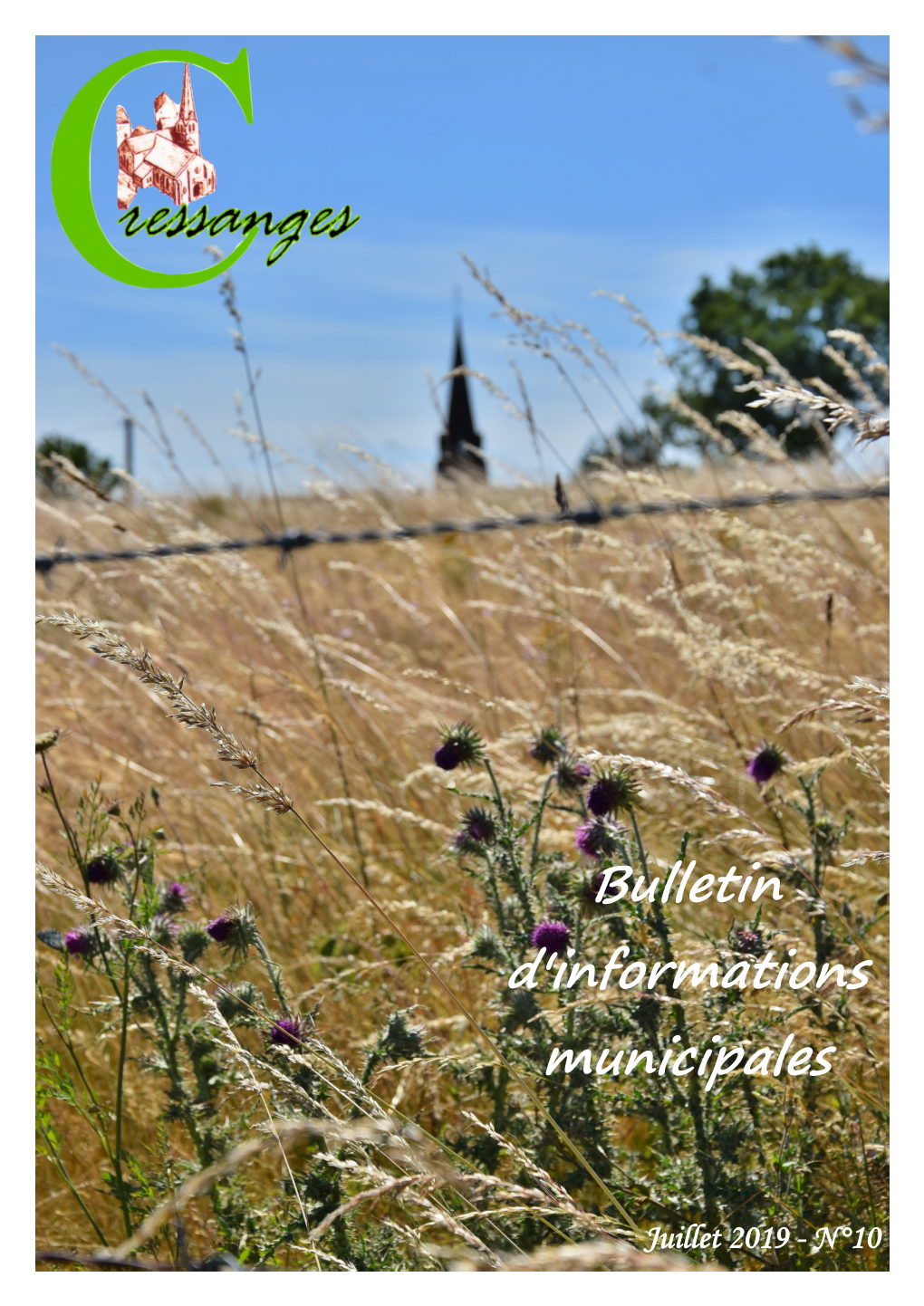 Bulletin D'informations Municipales